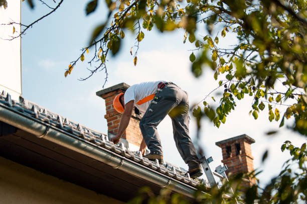 Quick and Trustworthy Emergency Roof Repair Services in Blaine, WA