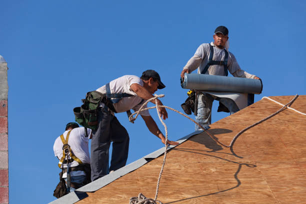 Best Shingle Roofing Installation  in Blaine, WA